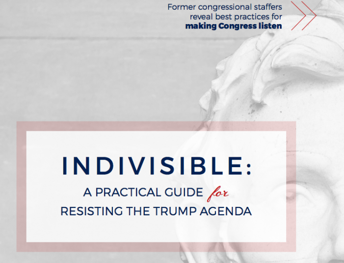 Download Indivisible: A Practical Guide For Resisting The Trump Agenda.